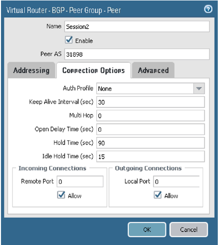 Click to expand This image shows the BGP peer Connection Options tab.