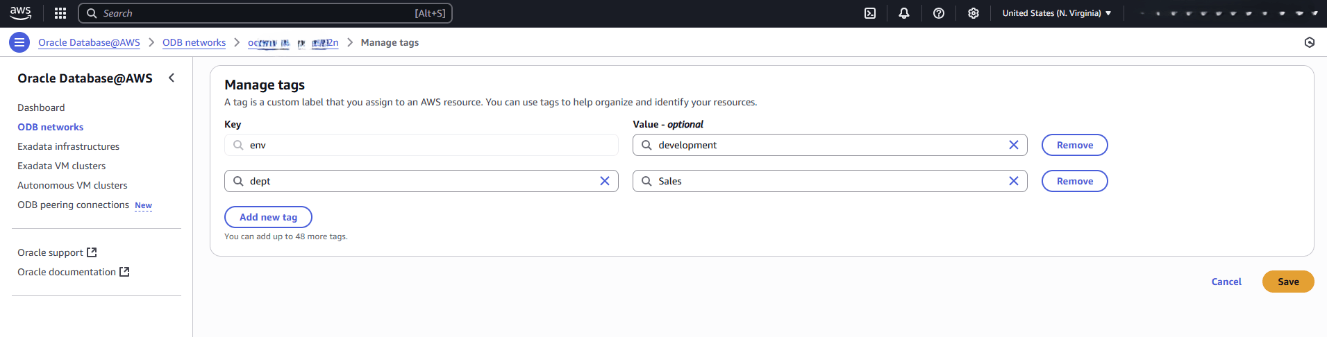 This screenshot shows the last part of managing tags in ODB Network