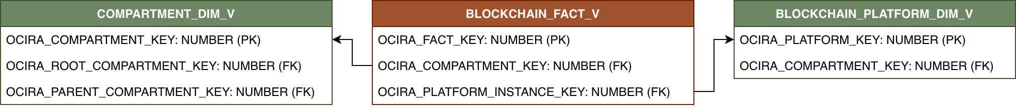 Relationship diagram showing the fact table BLOCKCHAIN_FACT_V and its related dimension tables.