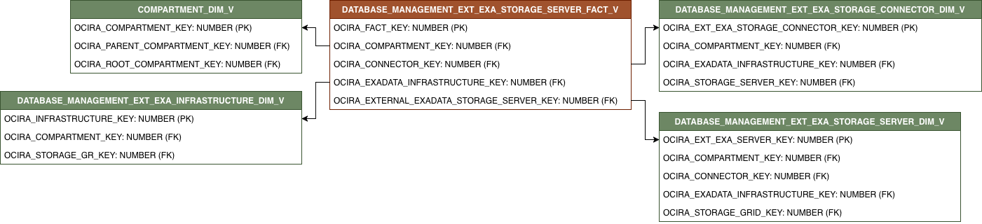 Relationship diagram with DATABASE_MANAGEMENT_EXT_EXA_STORAGE_SERVER_FACT_V and its related dimension tables.
